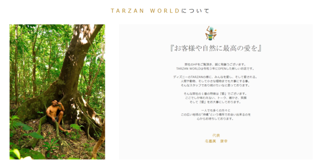 TARZAN WORLD